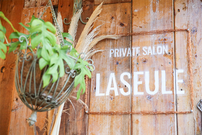 private salon LASEULE_1