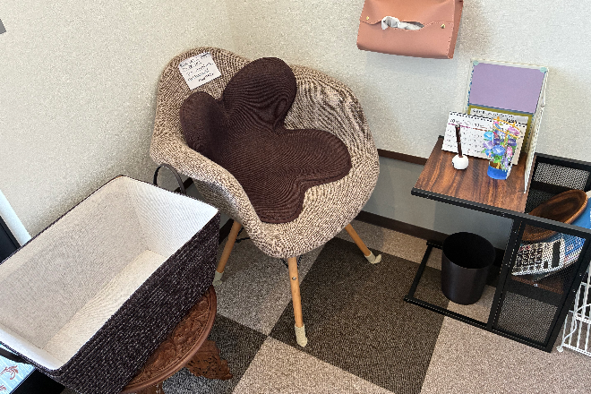 La cushion_2