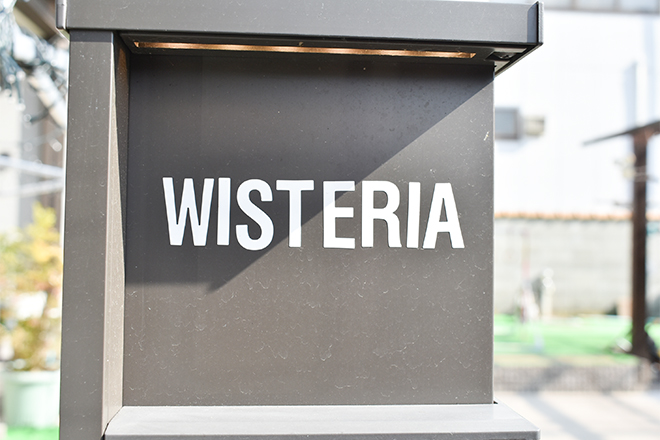 wisteria_1