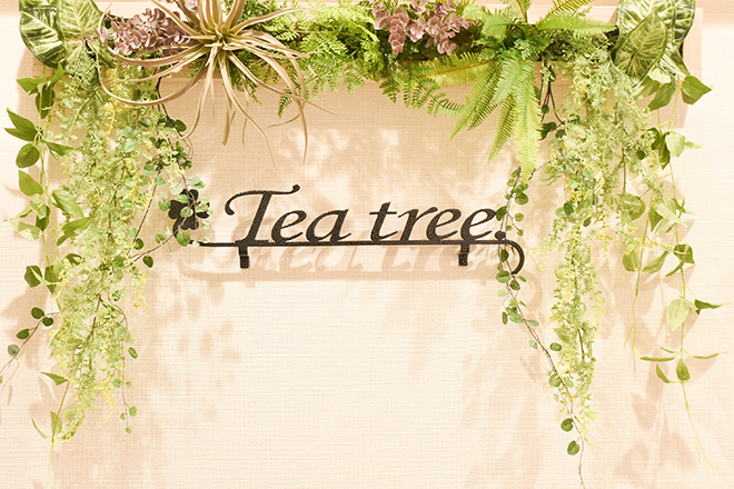Tea tree._2