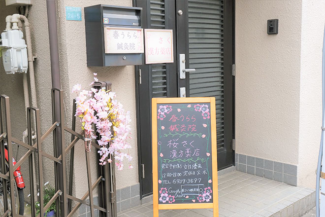 春うらら鍼灸院 桜さく漢方薬店_16