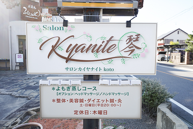 Salon Kyanite 琴_2