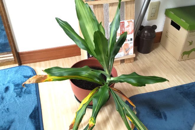 リラクゼーションスペース 千歳クラシック_23