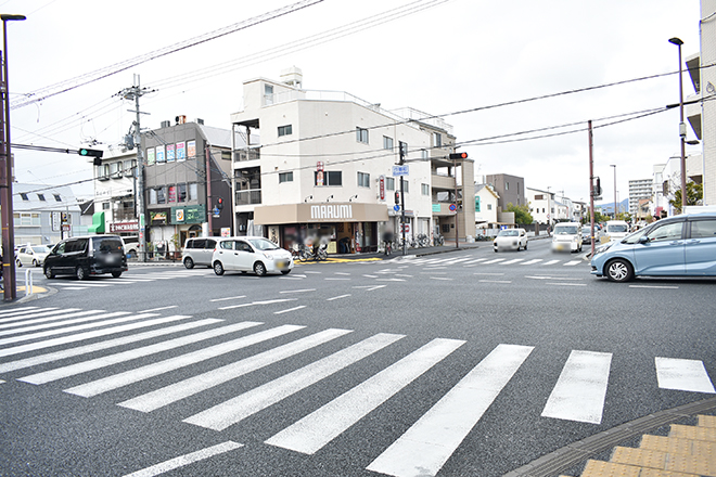 かめだ鍼灸接骨院_15