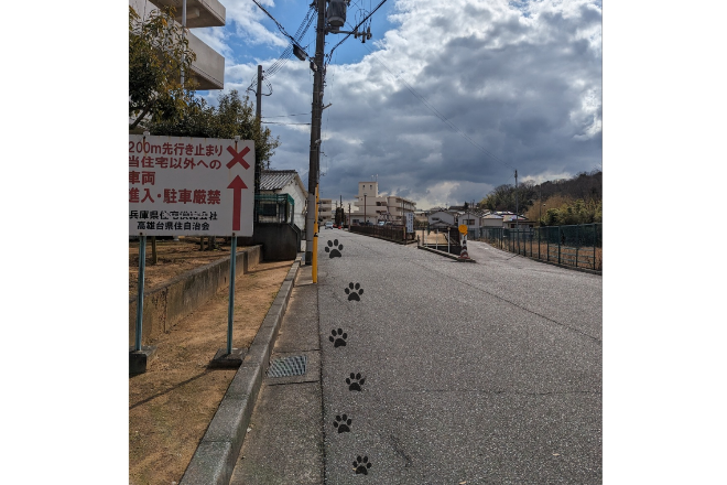 太陽の手_23