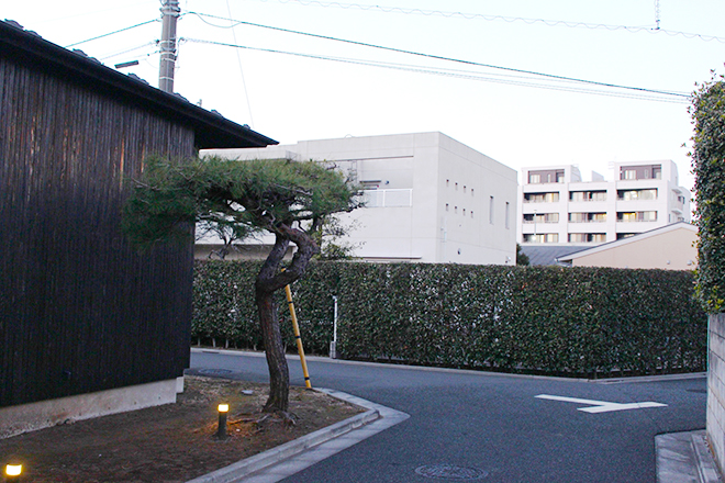 しろくま鍼灸整骨・整体院 上石神井院_18