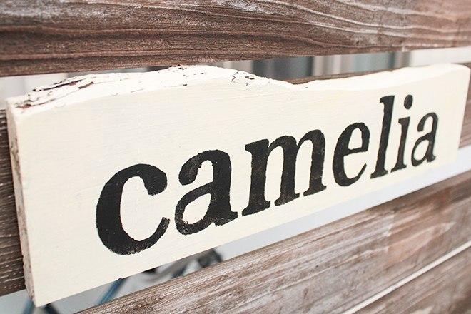 camelia_1