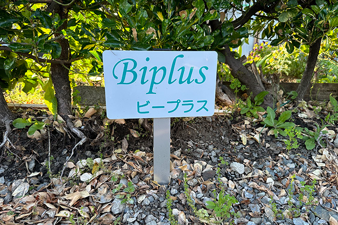 Biplus aesthetic salon_9