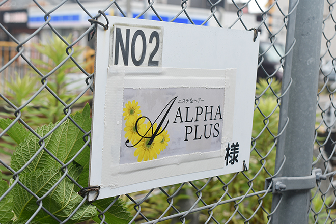 ALPHA PLUS_16