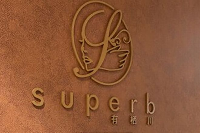 superb有栖川 美整顔術_1