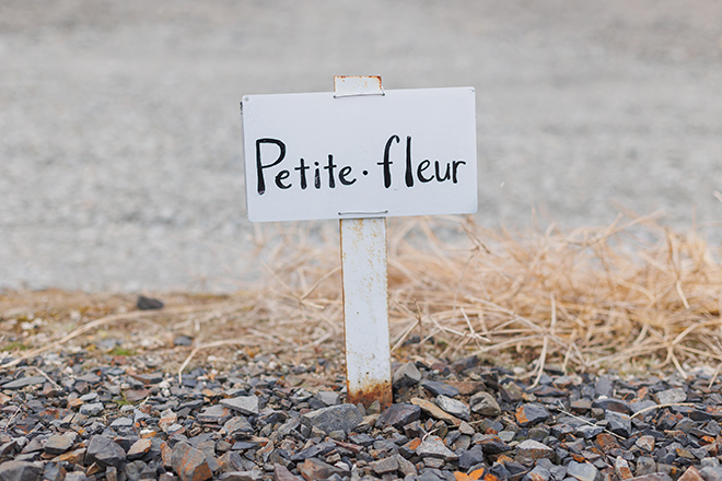 NOEVIR Beauty Studio Petite・fleur_10