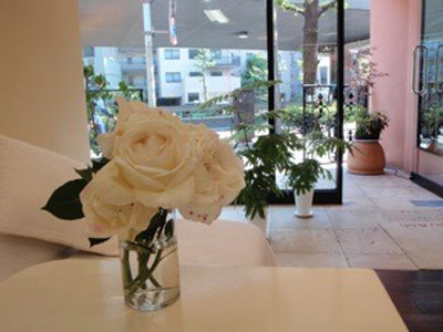salon de BONAMI 南青山店_1