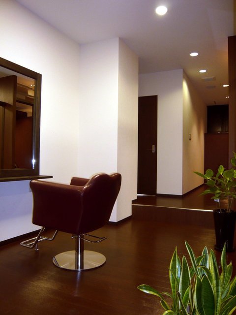 PLUS for hair_1
