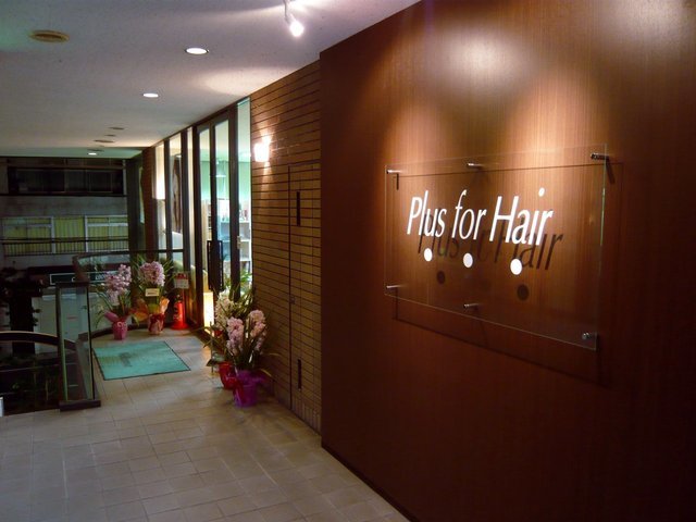 PLUS for hair_2