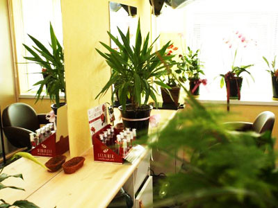 hairsalon ELM_1