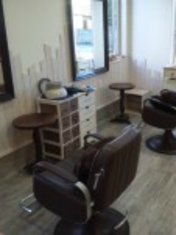 Ends Hair_1