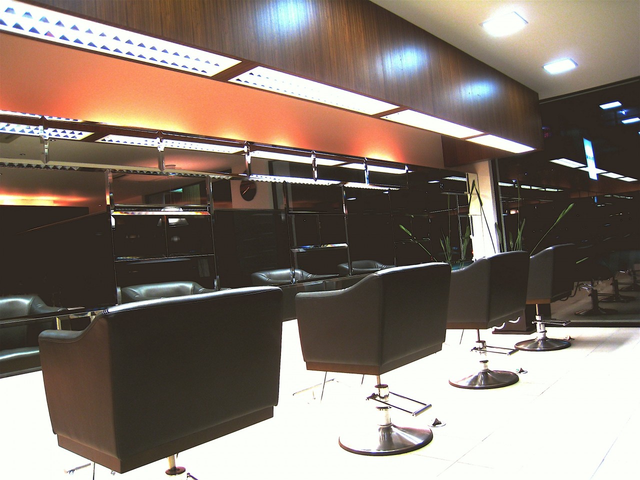 WAVE INTERNATIONAL 二の宮店