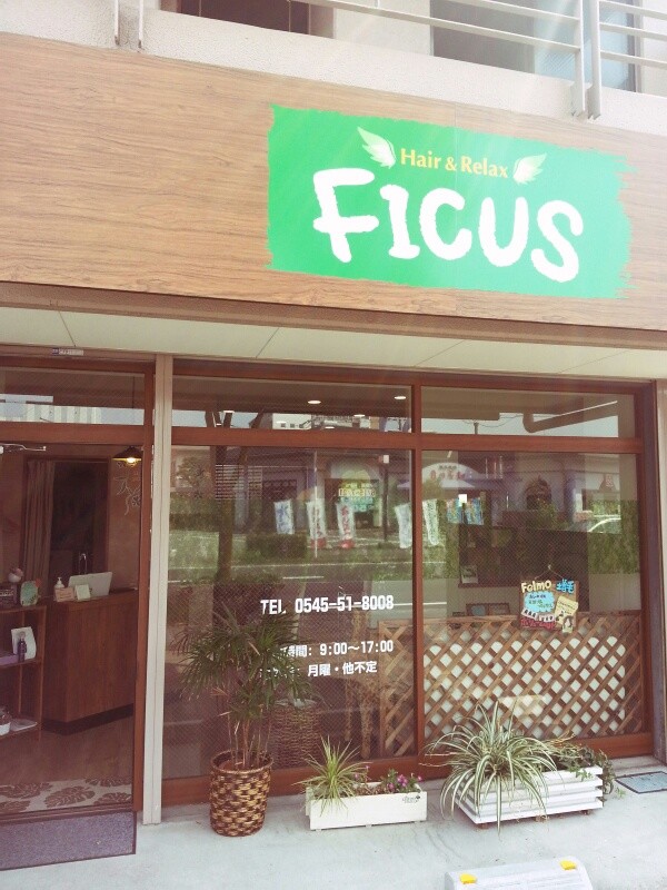 FICUS_2