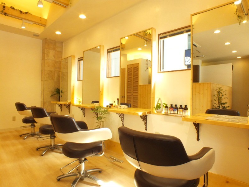 Ludus -hair design-