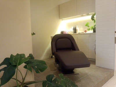 Hair MONSTERA_1