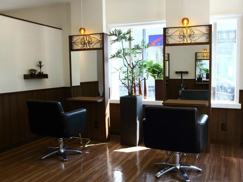 elm. hair_2