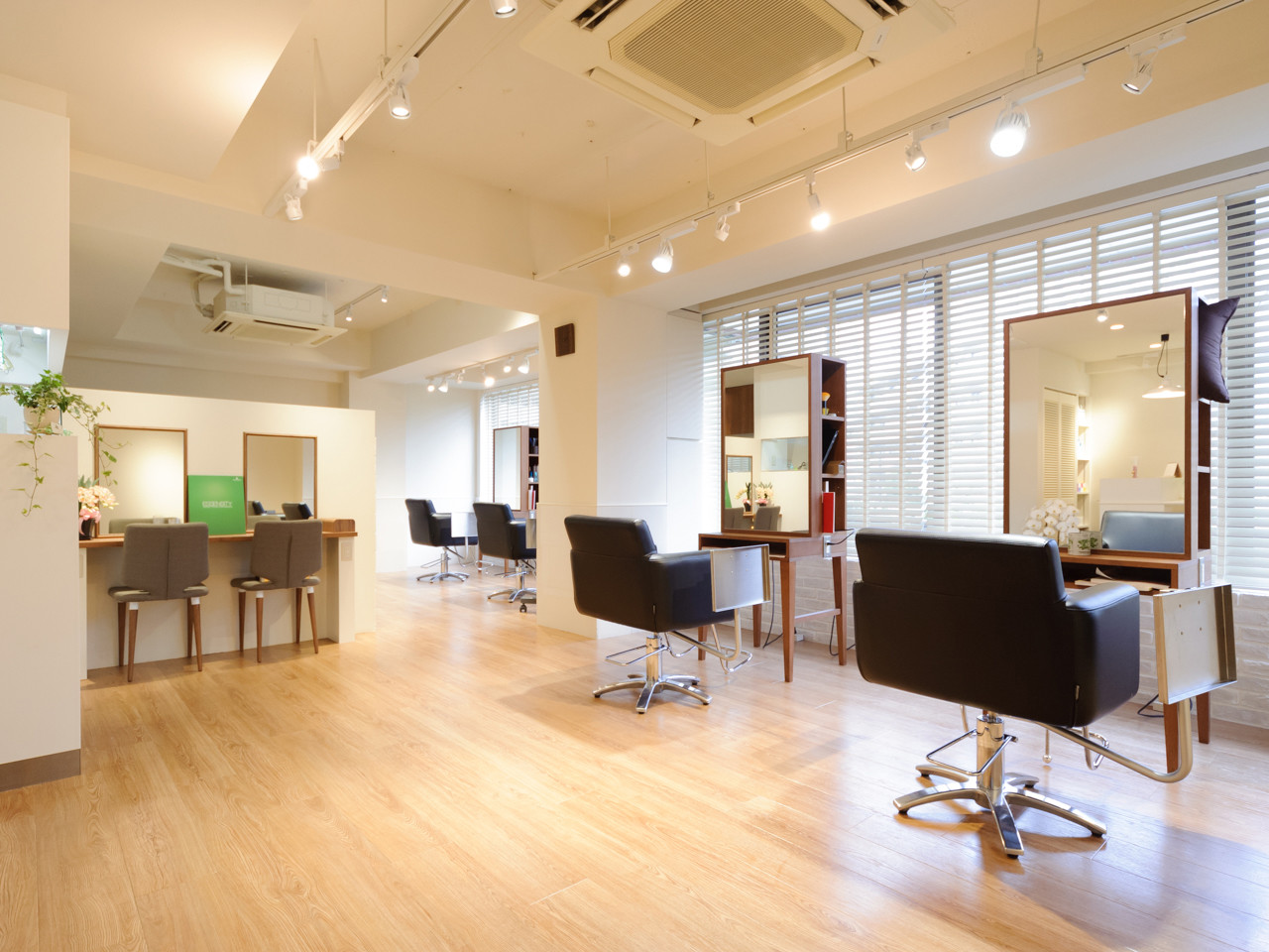 Hair Design harp_1