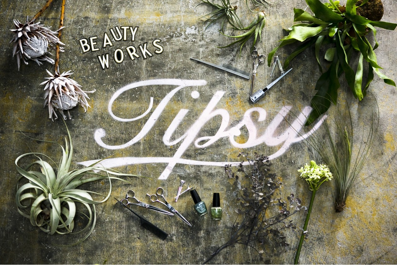 TIPSY_2