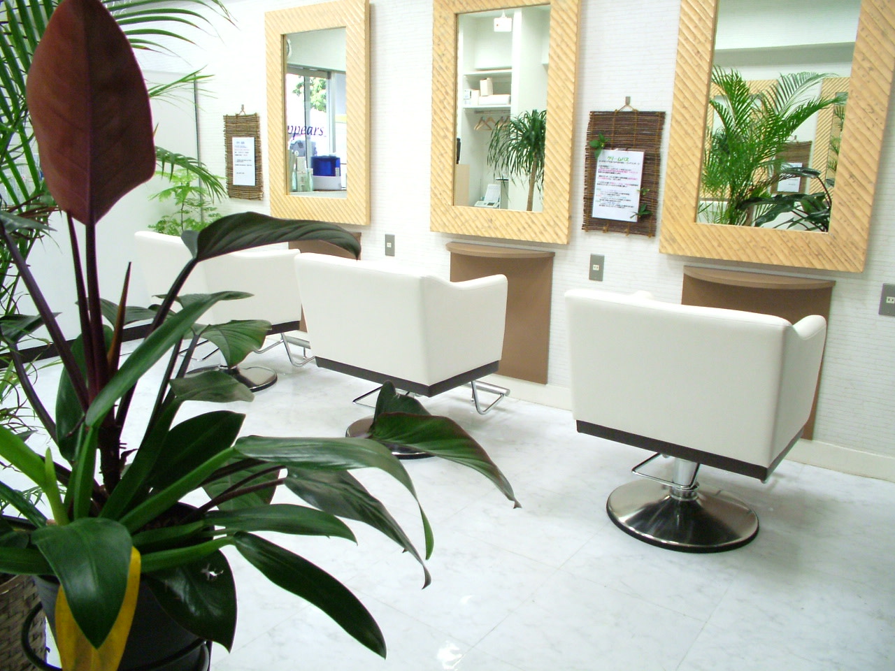 HAIR SALON appears