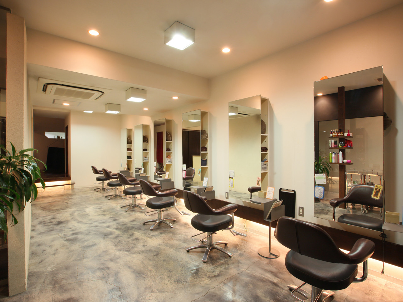RISE HAIR BRAND cocoo