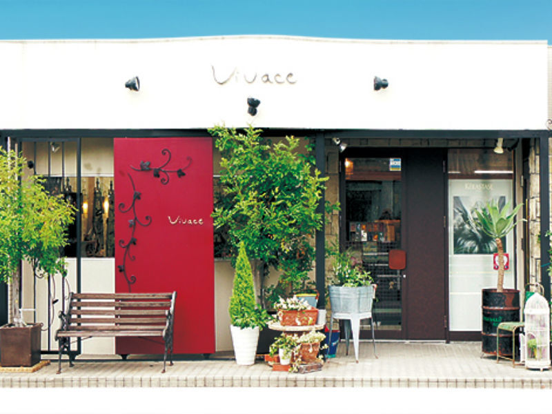 Vivace_2