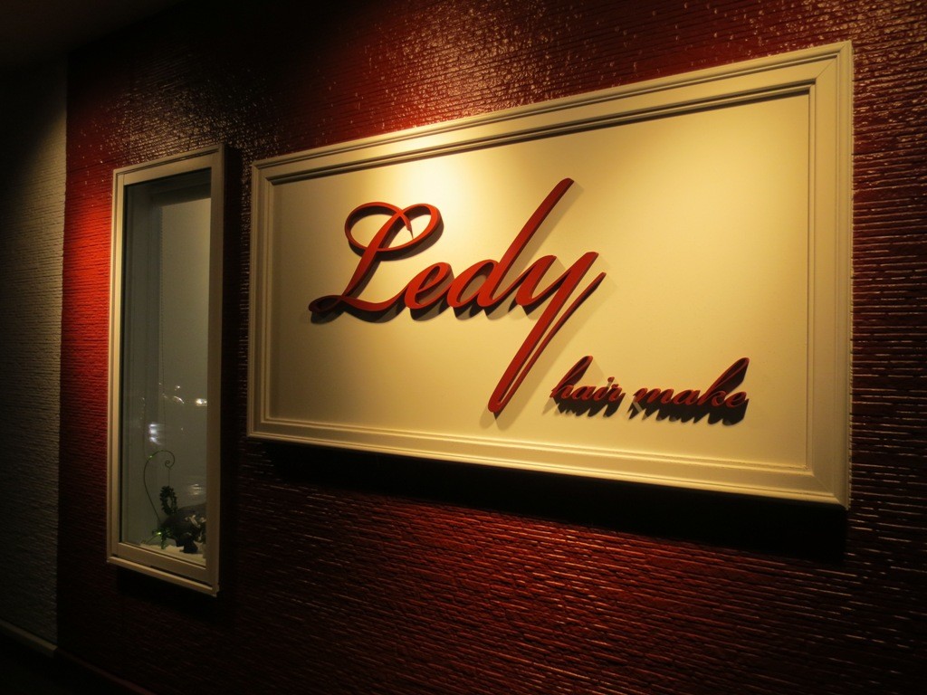 Ledy_1