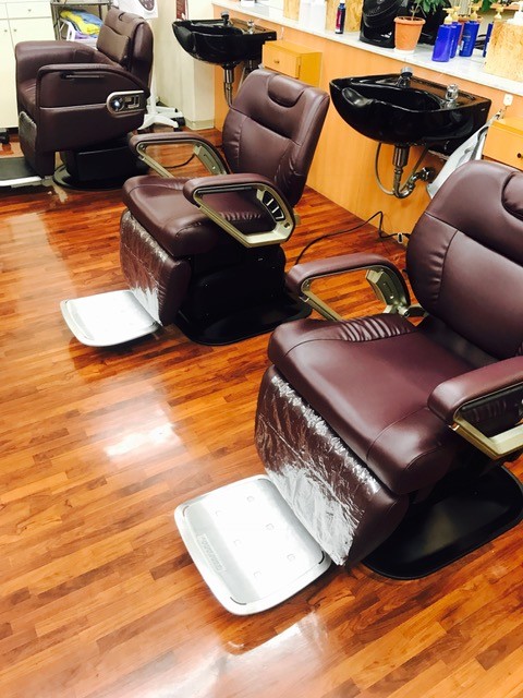 HAIR ESTHESALON AONO_1