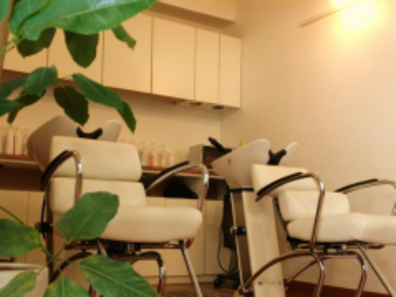 Hair Salon Siesta_Hair Salon Siesta