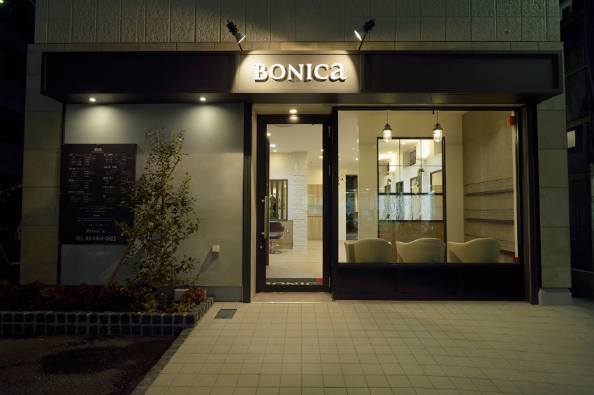 BONICA_1