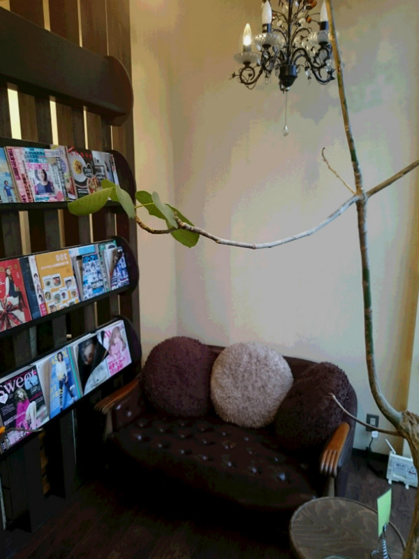 hair space Lota_1
