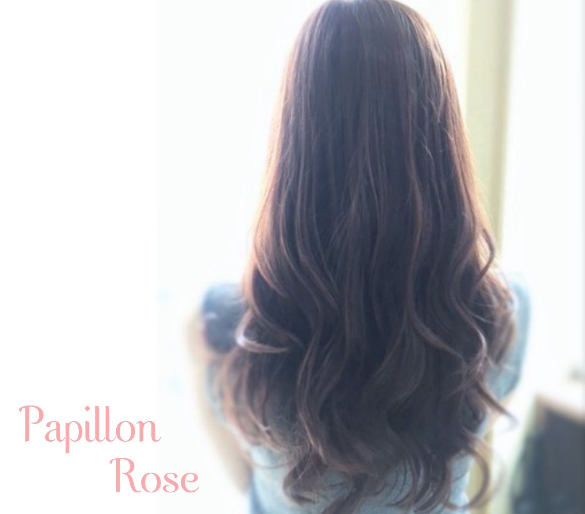 Papillon Rose_2