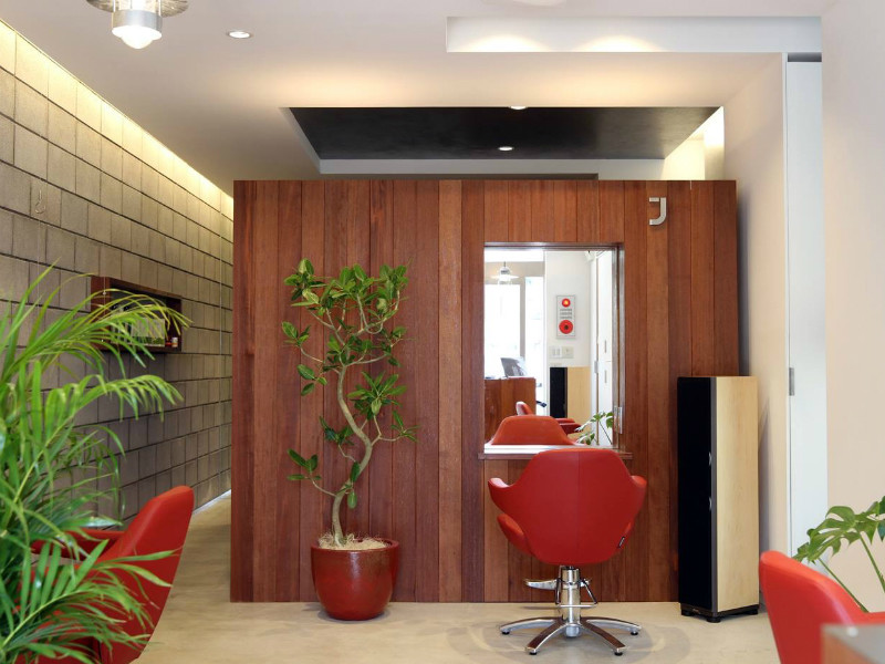 HAIR JOYNT