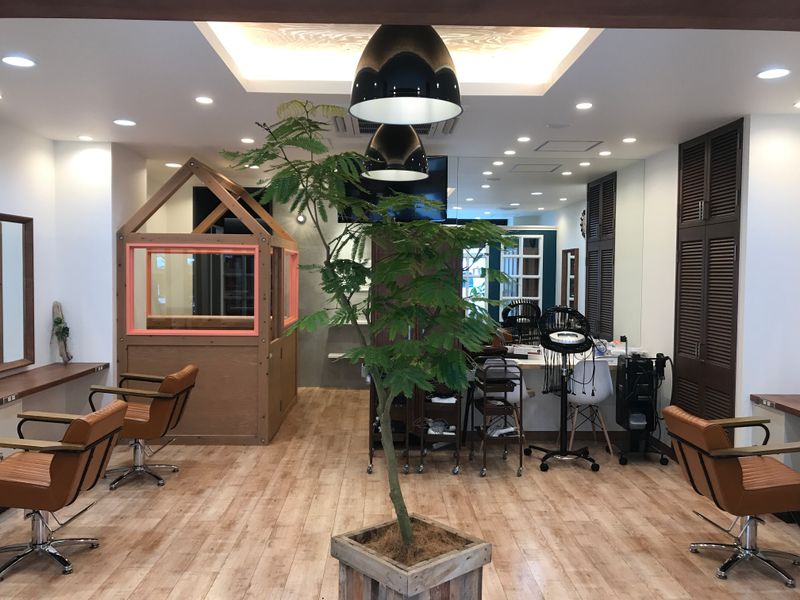 plecooze  hair  oasis