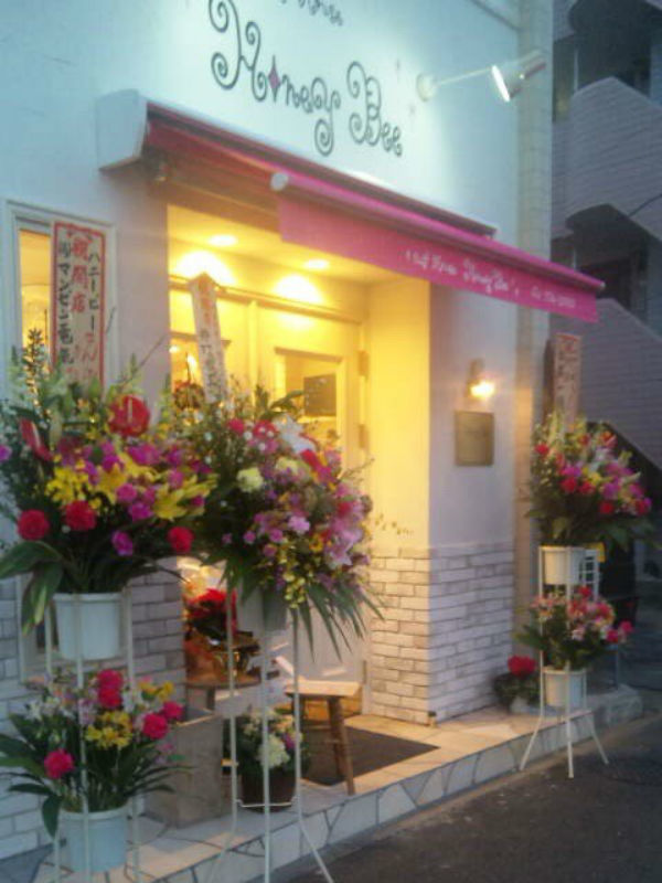 cut house HONEY BEE