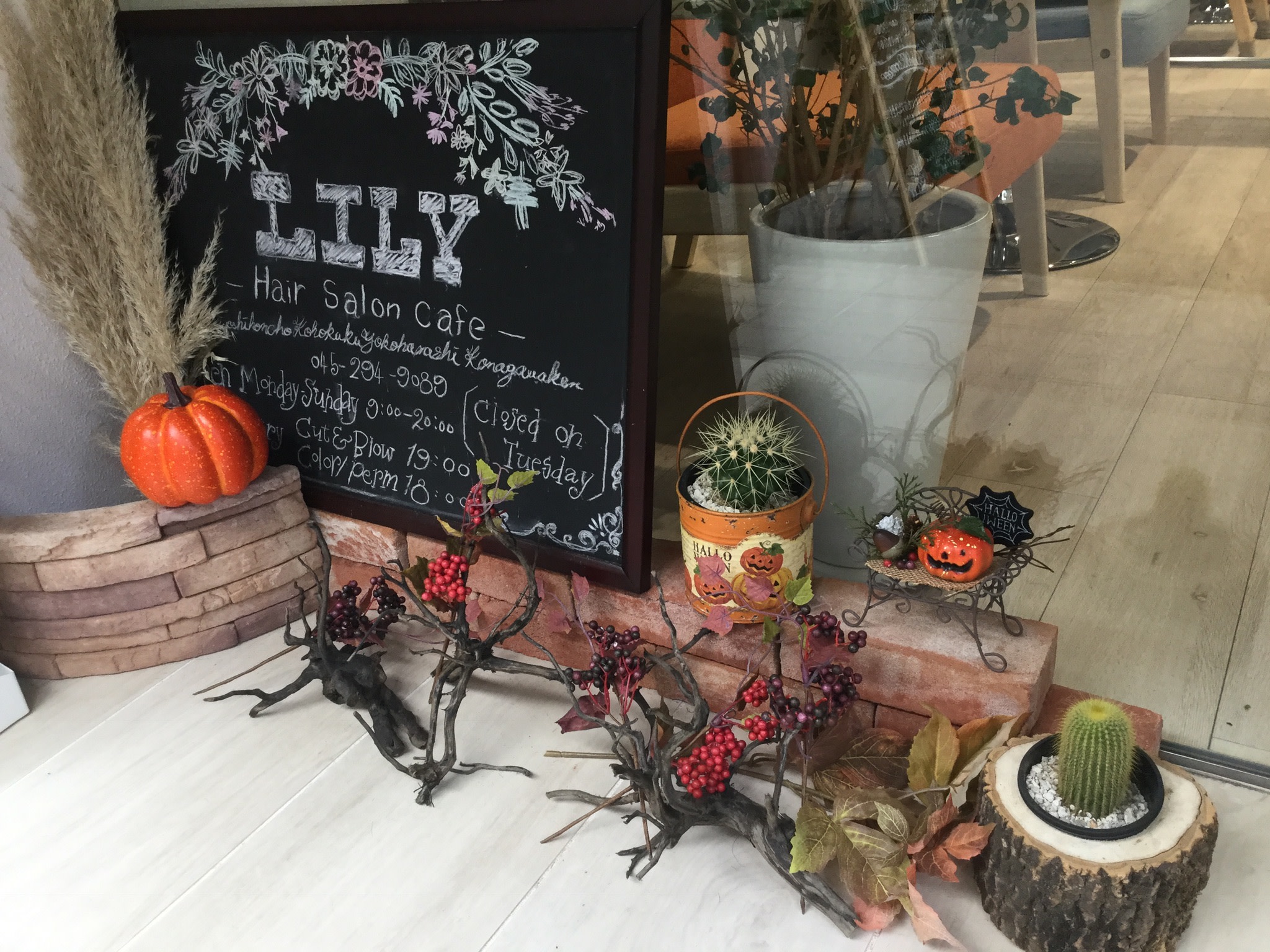 Lily 日吉_2