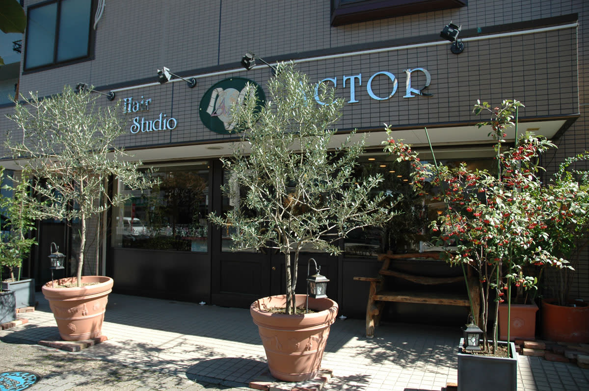 Hair Studio ACTOR