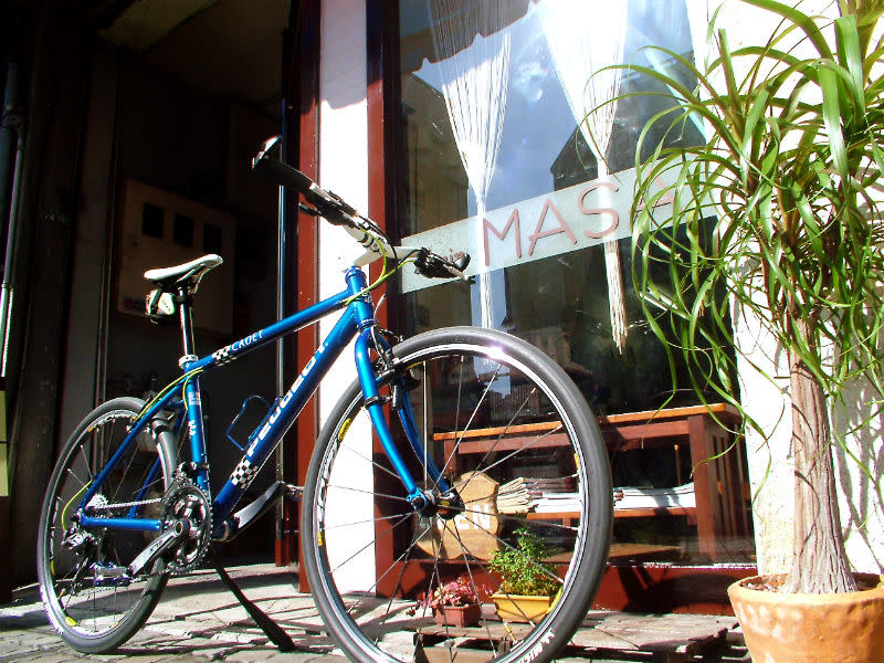 hair MASA_2