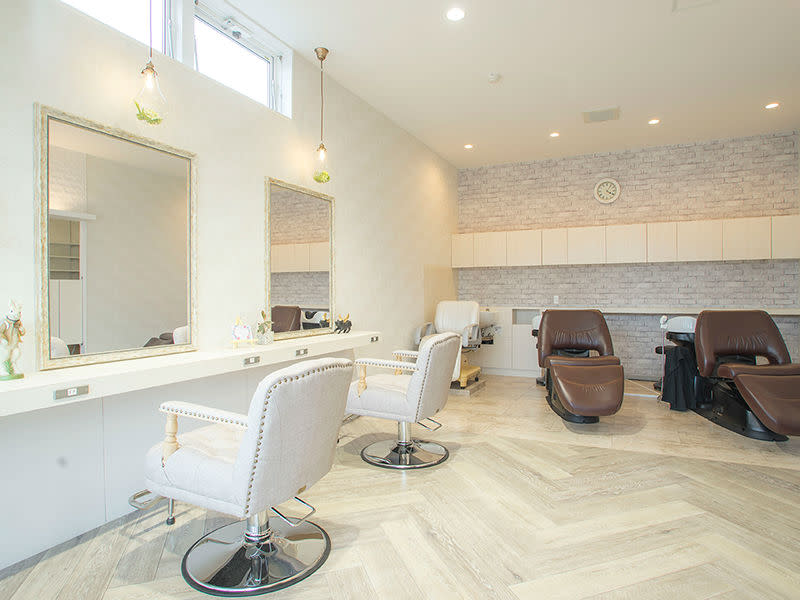 Accueillir Pur hair_1