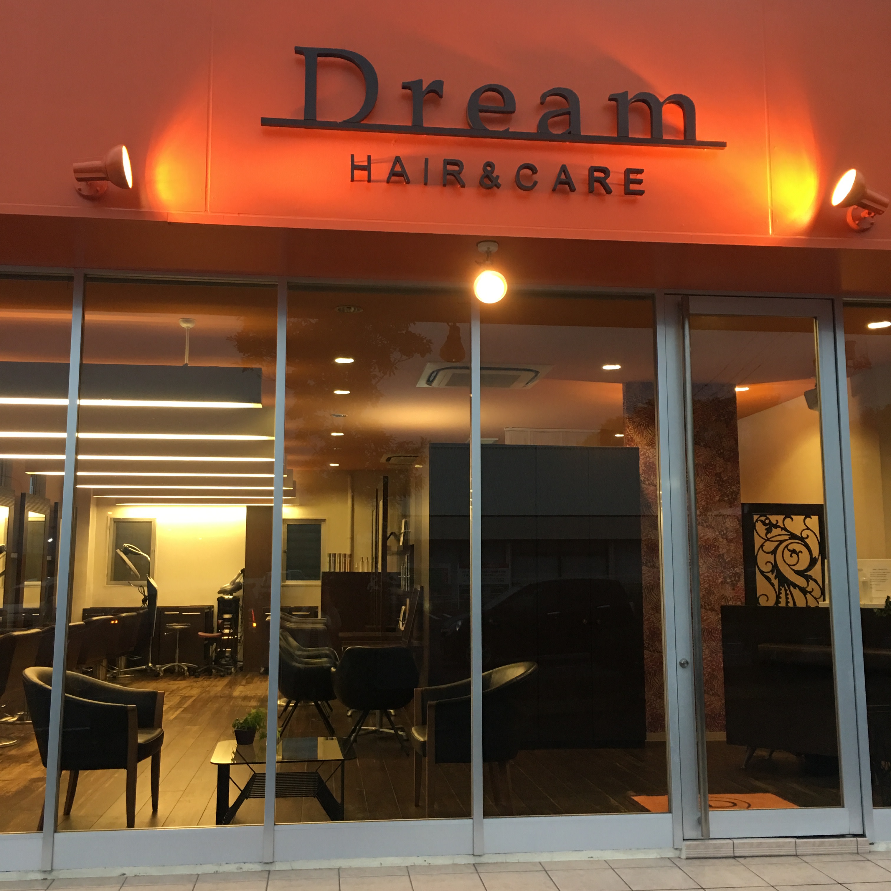 Dream HAIR CARE_2