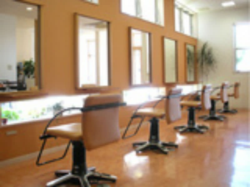 hair face COLORBAR