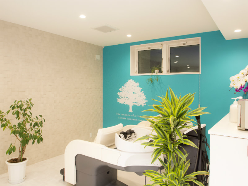 hair&nail IVY_2