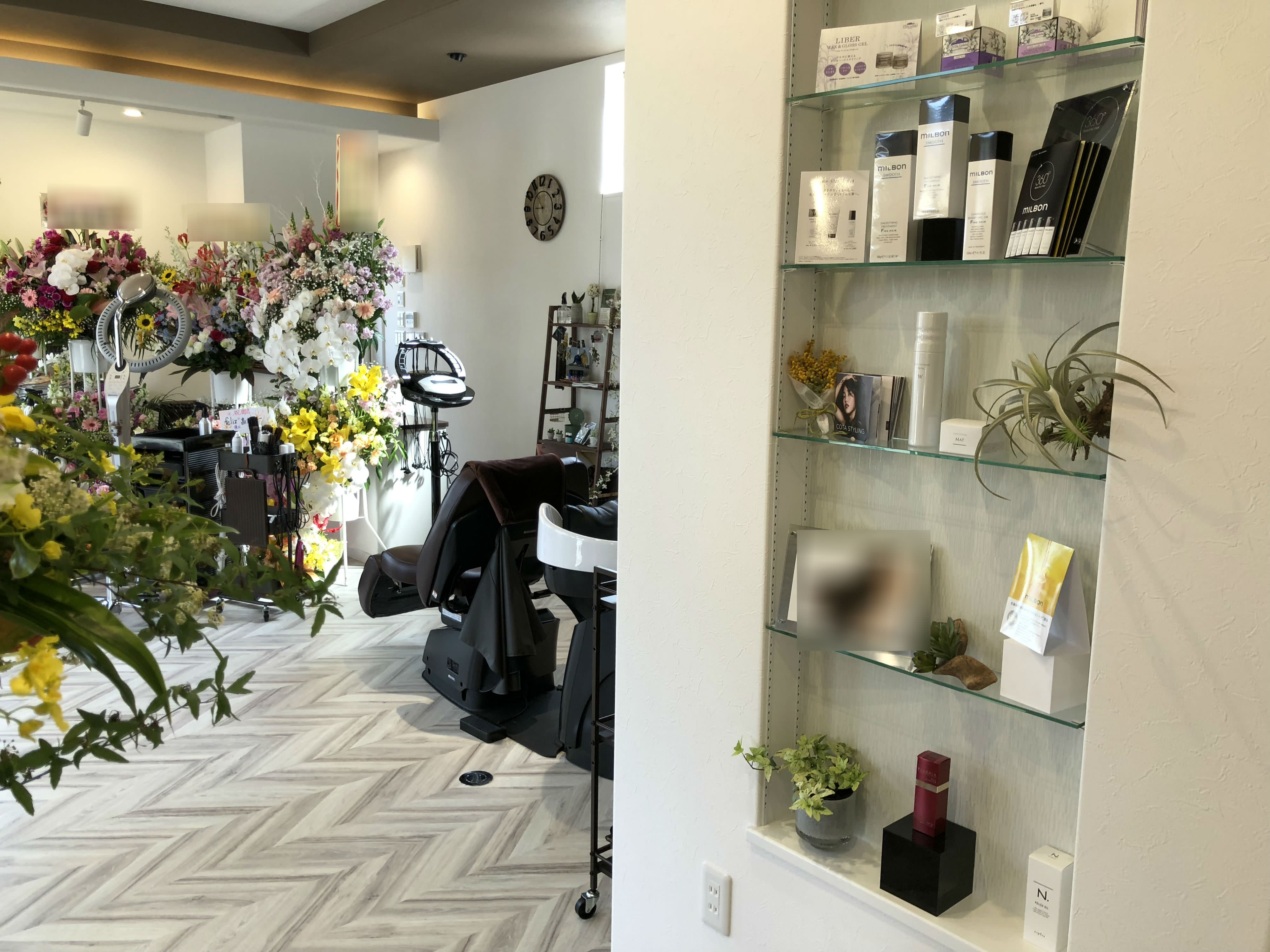 hairdesign feliz_1