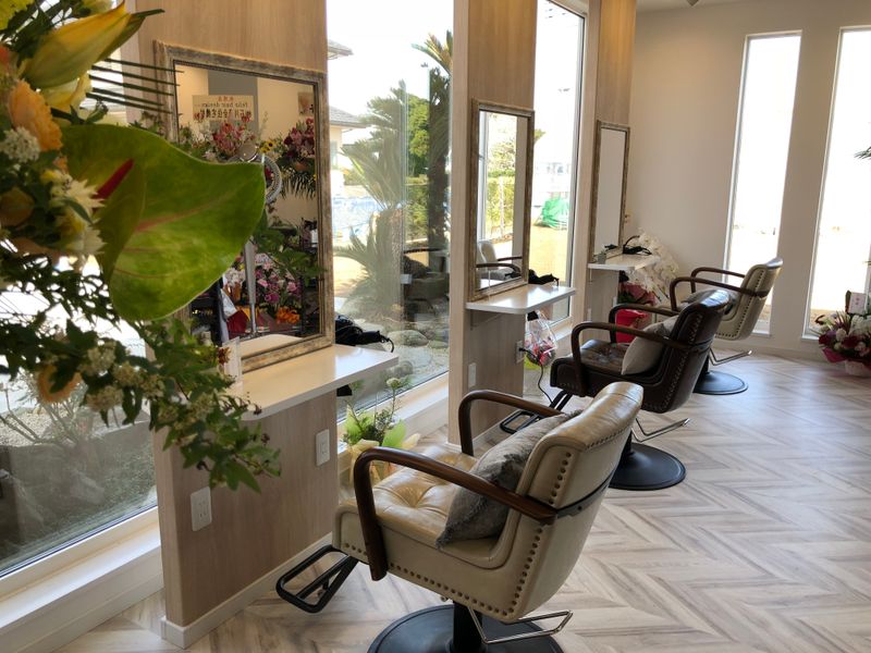 hairdesign feliz