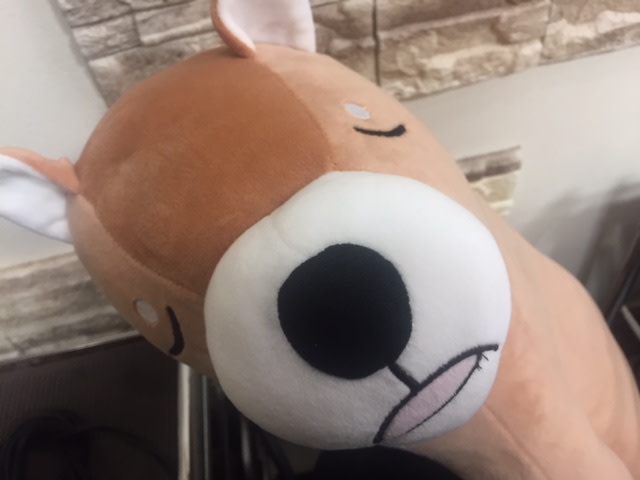 Baint._菅原　勘仁