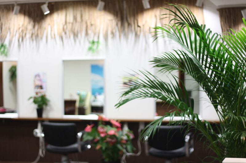 MINT hair resort